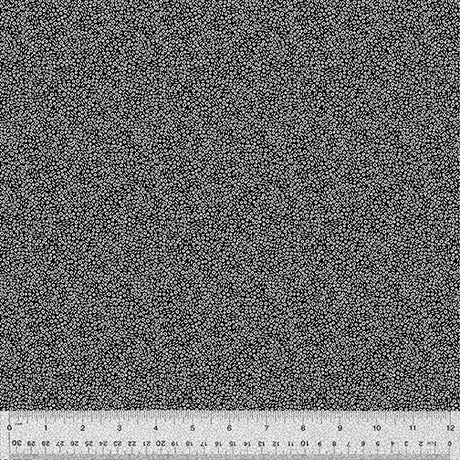 53561-2-1-0155Y000005s0NhQAI.jpg