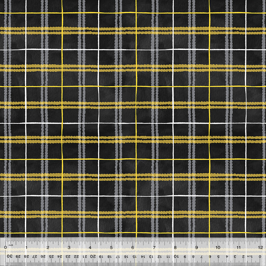53576-1-1-0155Y000005s1AyQAI.jpg