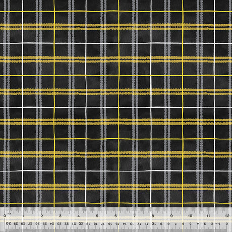 53576-1-1-0155Y000005s1AyQAI.jpg