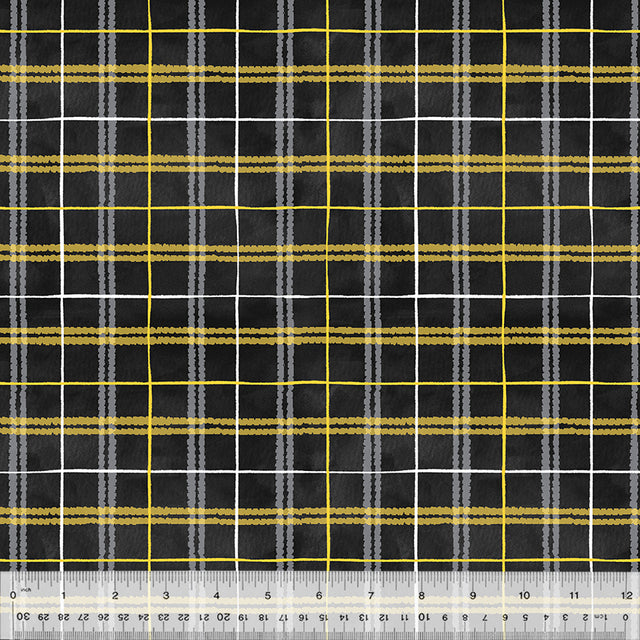 53576-1-1-0155Y000005s1AyQAI.jpg
