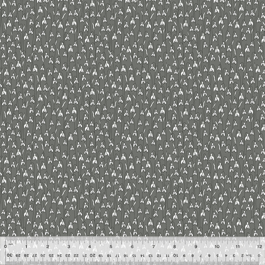 53592-4-1-0155Y000005s0qAQAQ.jpg