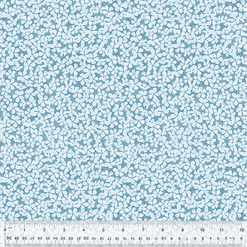 53613-5-1-0155Y000005s0t9QAA.jpg