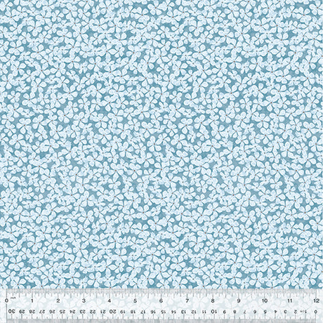 53613-5-1-0155Y000005s0t9QAA.jpg