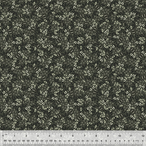 53618-1-1-0155Y000005s19HQAQ.jpg