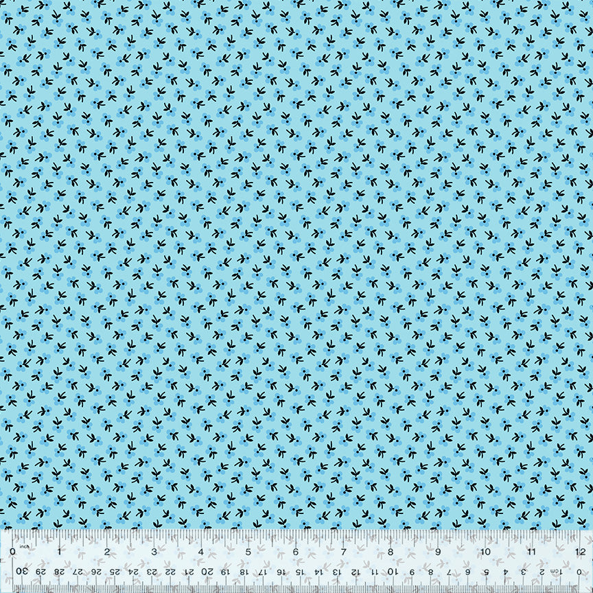 53646-13-1-0155Y000005jBBvQAM.jpg