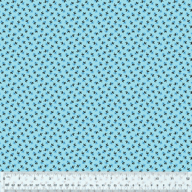 53646-13-1-0155Y000005jBBvQAM.jpg
