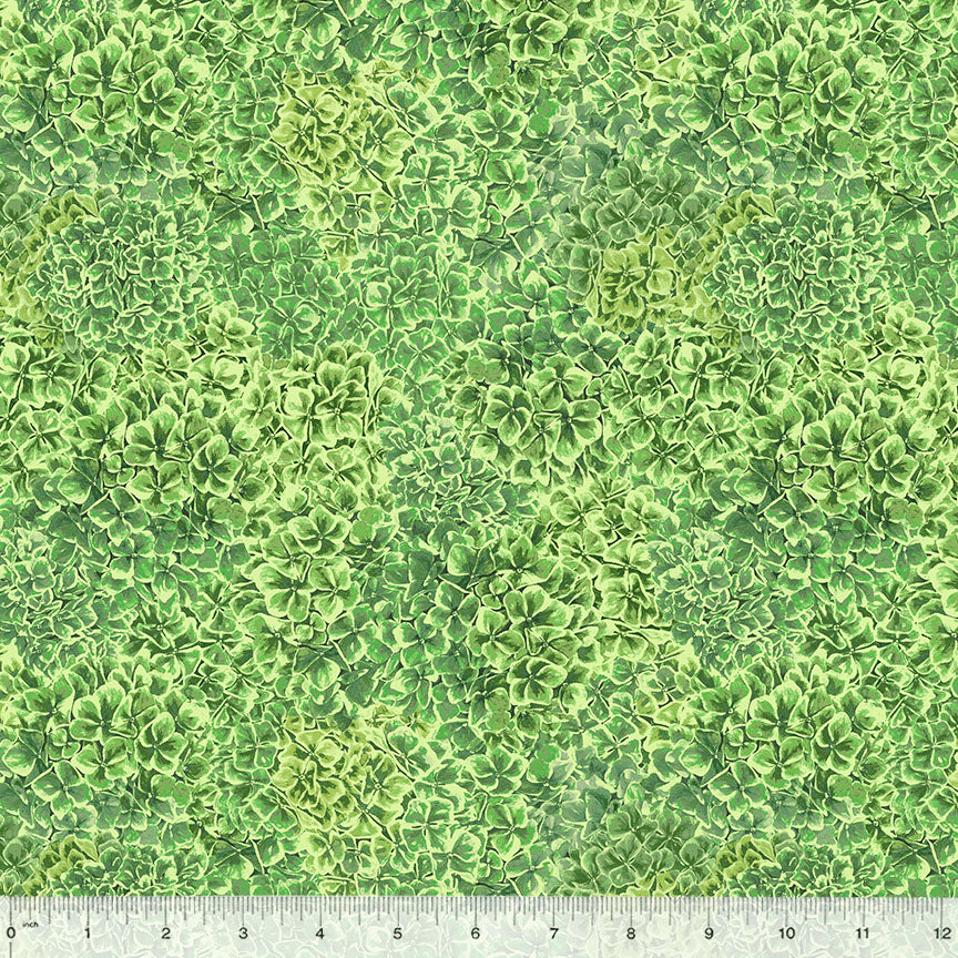53708-9-1-0155Y000005j8wZQAQ.jpg