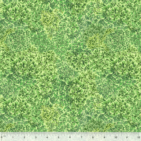 53708-9-1-0155Y000005j8wZQAQ.jpg