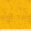 53727-10-1-0155Y000005jAXMQA2.jpg