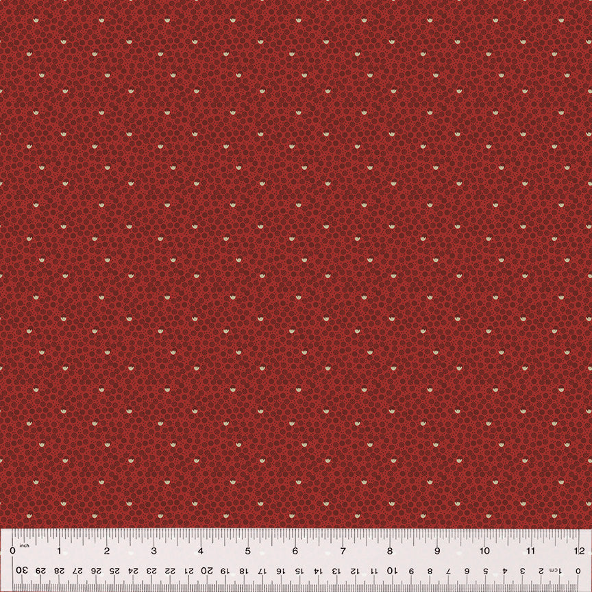 53792-3-1-0155Y000005jDWlQAM.jpg
