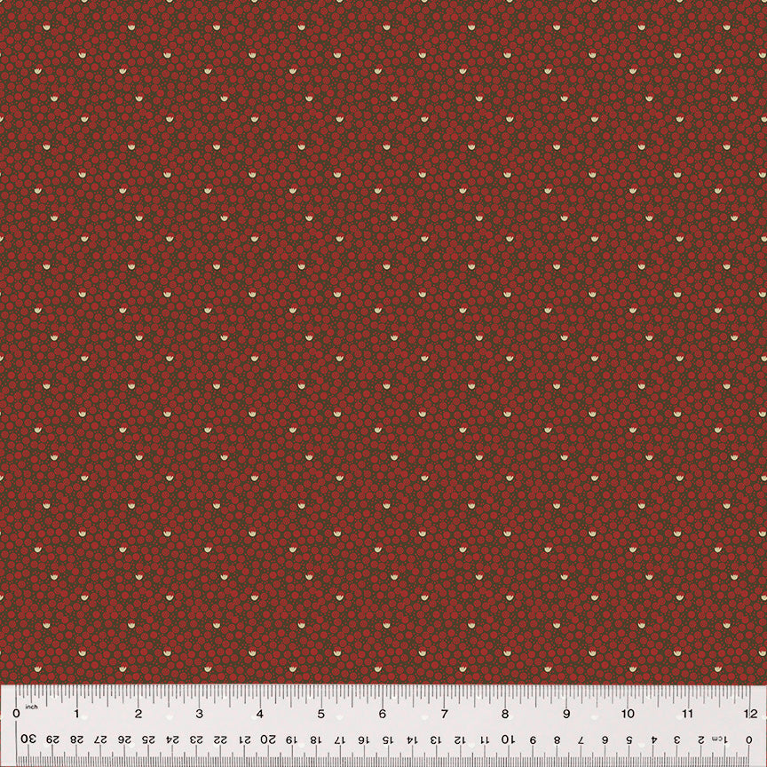 53792-6-1-0155Y000005jDWqQAM.jpg