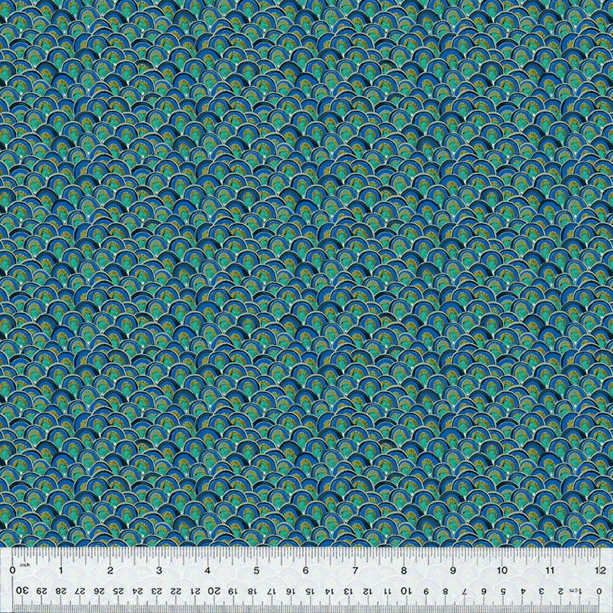 53801-5-1-0155Y000005jFCQQA2.jpg
