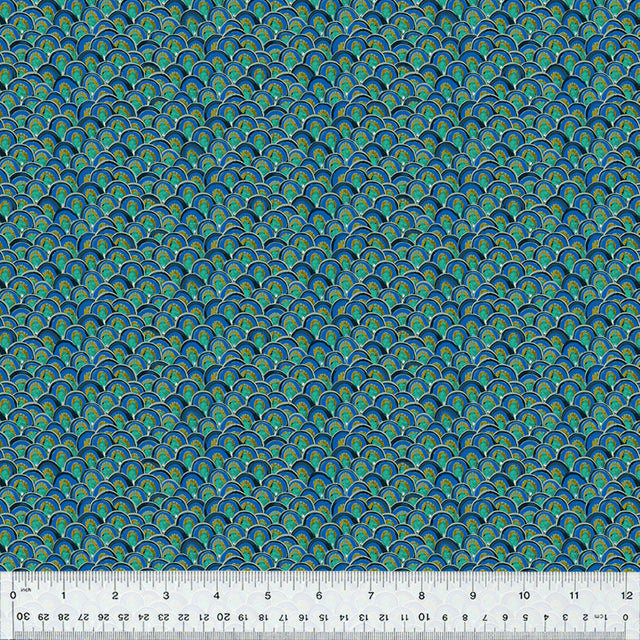 53801-5-1-0155Y000005jFCQQA2.jpg