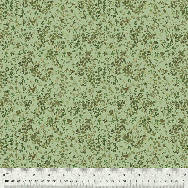 53808-13-1-0155Y000005jBwXQAU.jpg