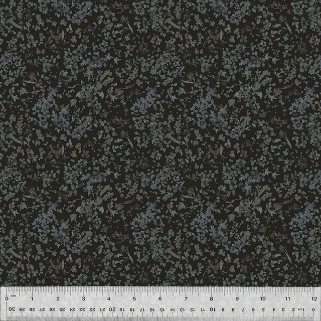 53808-18-1-0155Y000005jBwrQAE.jpg