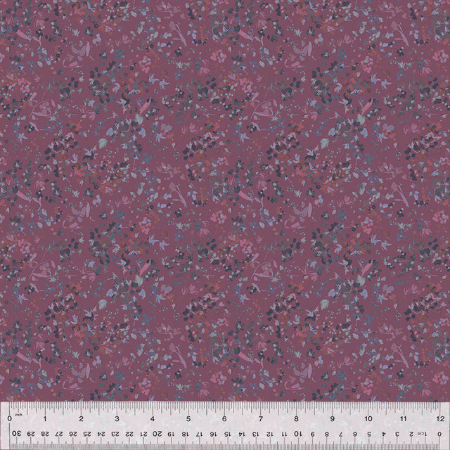 53808-2-1-0155Y000005jBx1QAE.jpg