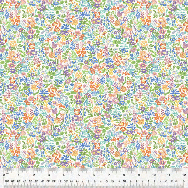 53843-1-1-0155Y000005jFDnQAM.jpg