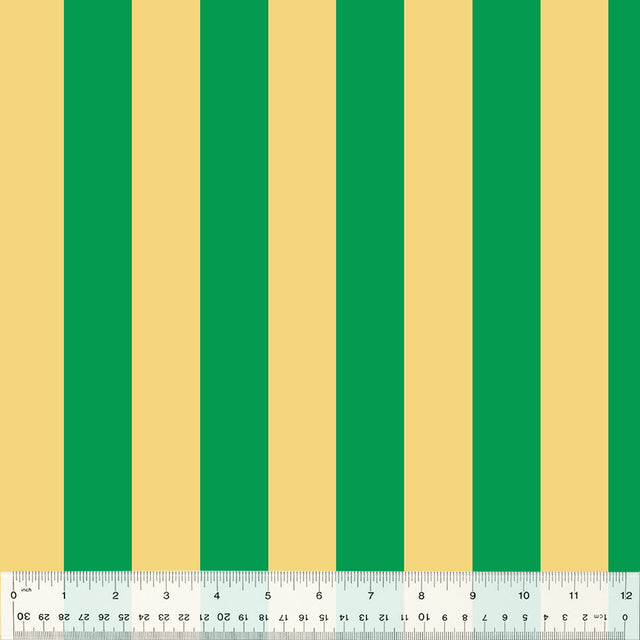 53850-18-1-0155Y000005jD6dQAE.jpg