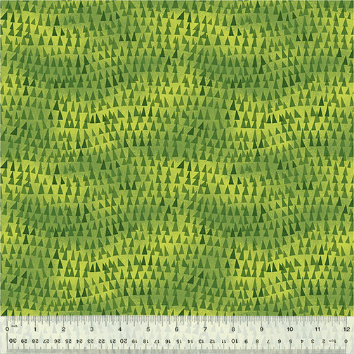 53938D-6-1-0155Y0000067lyYQAQ.jpg