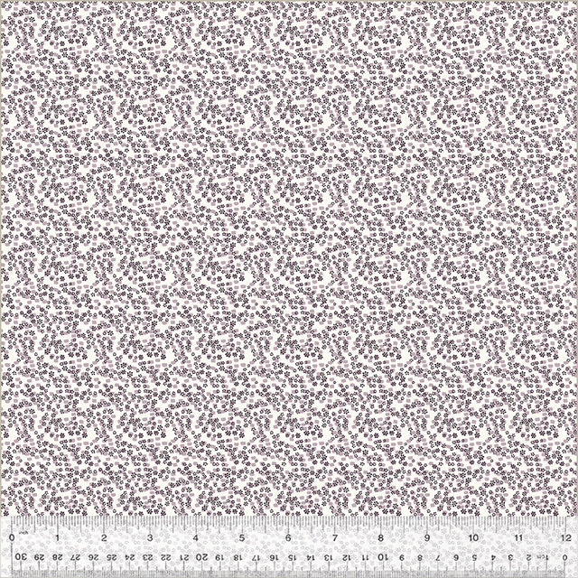 53955-1-1-0155Y0000067lmwQAA.jpg