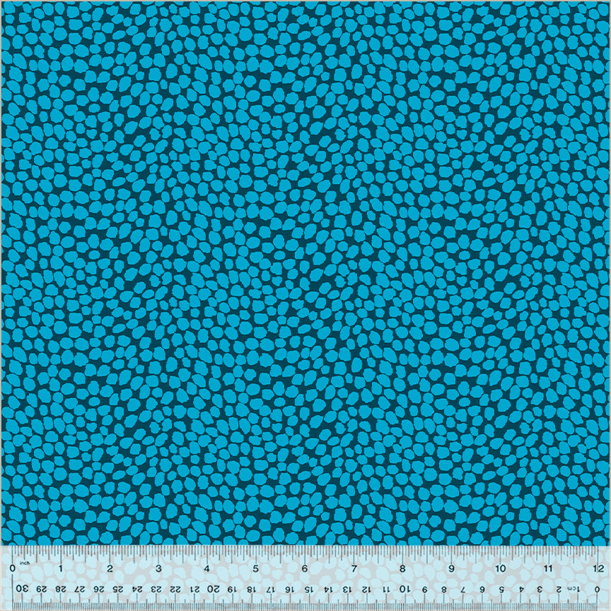 54051-9-1-0155Y000006G9jxQAC.jpg