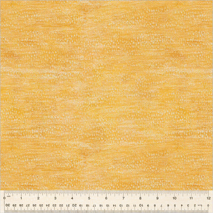 54060D-11-1-0155Y000005zXqiQAE.jpg