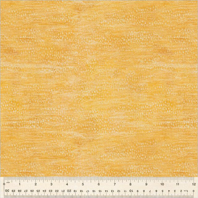 54060D-11-1-0155Y000005zXqiQAE.jpg