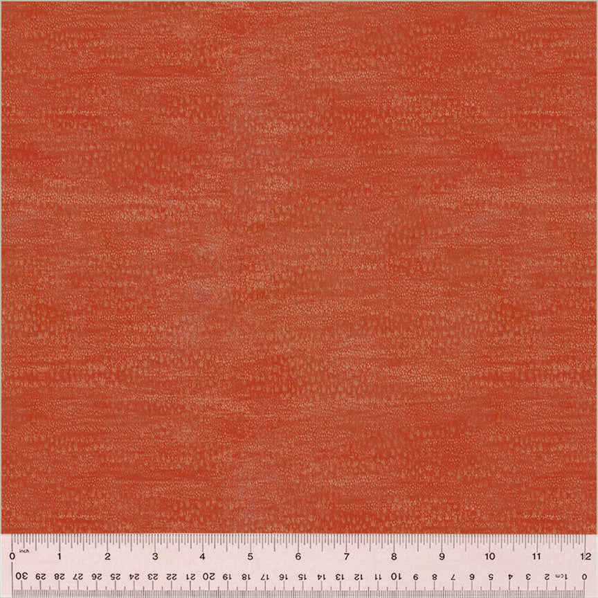54060D-12-1-0155Y000005zXqnQAE.jpg