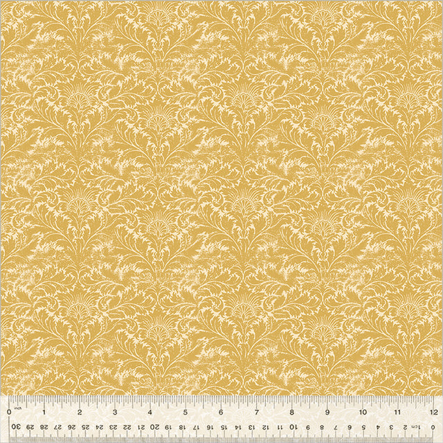 54068-10-1-0155Y000005zXwvQAE.jpg
