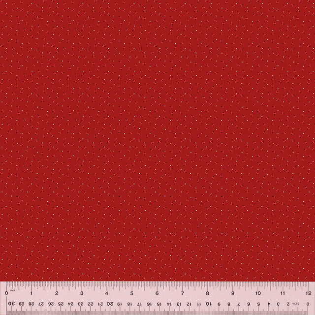 54153-4-1-015Ud000000RKh0IAG.jpg