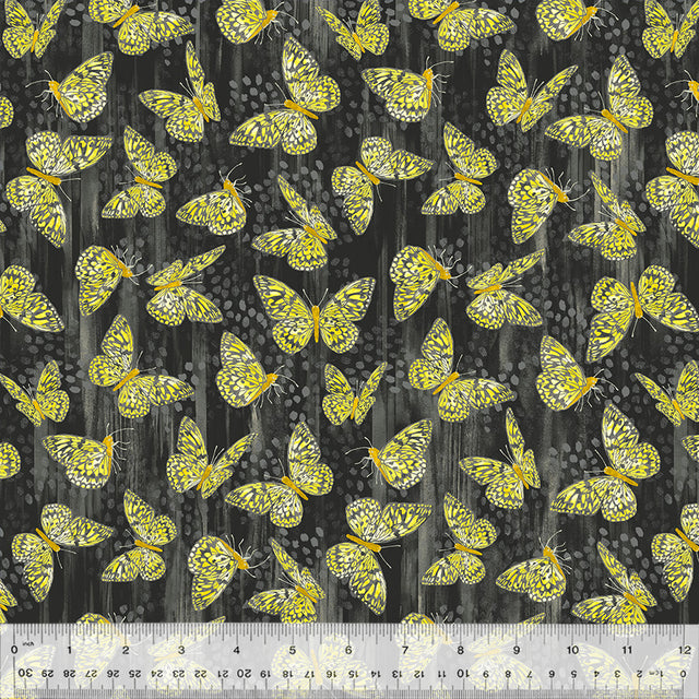 54165-2-1-015Ud000000RLQBIA4.jpg