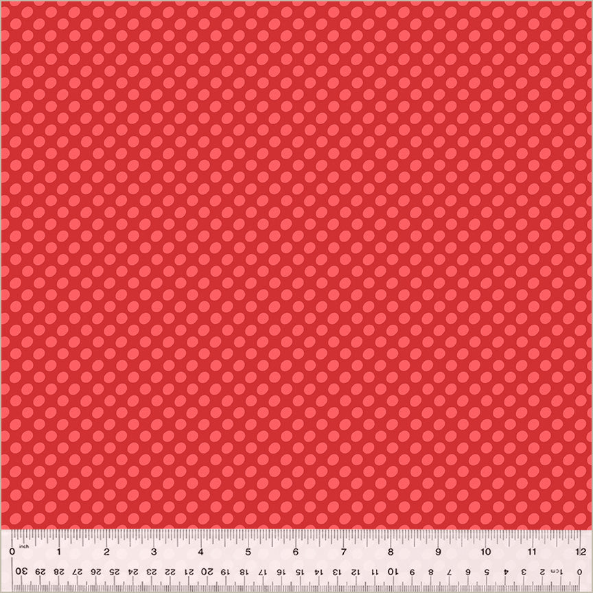 54245D-3-1-015Ud000000dp2gIAA.jpg