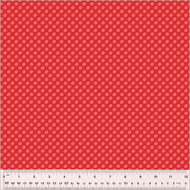 54245D-3-1-015Ud000000dp2gIAA.jpg
