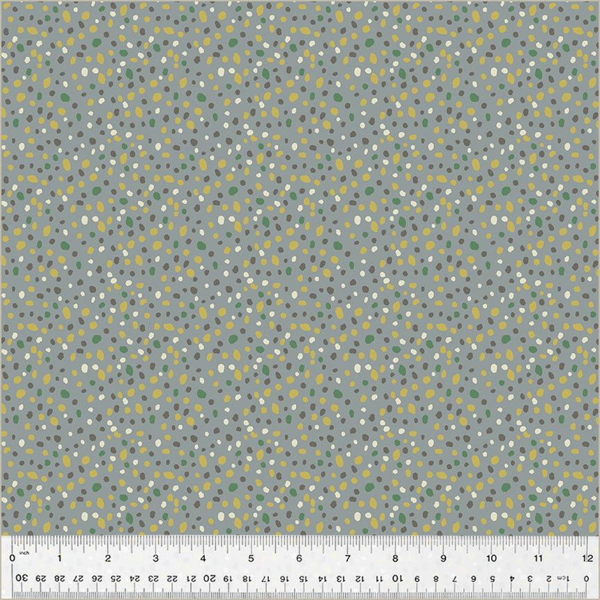 54312-6-1-015Ud000000dqA2IAI.jpg