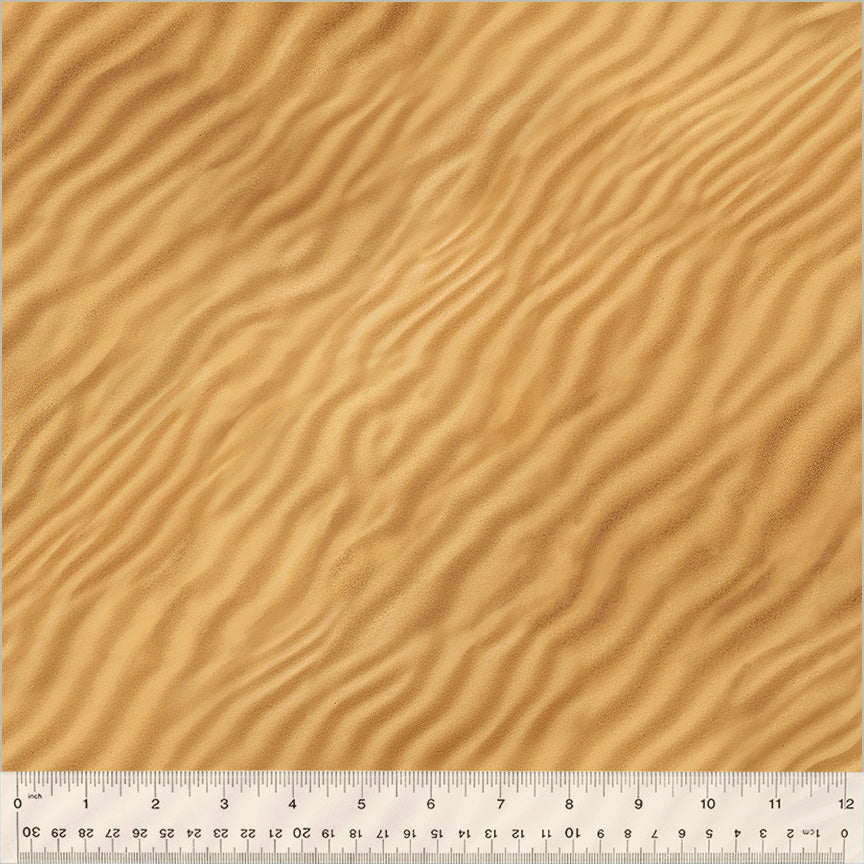 54409D-1-1-015Ud000001XQb4IAG.jpg