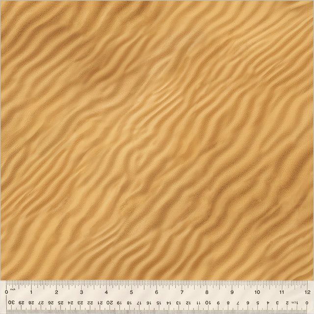 54409D-1-1-015Ud000001XQb4IAG.jpg