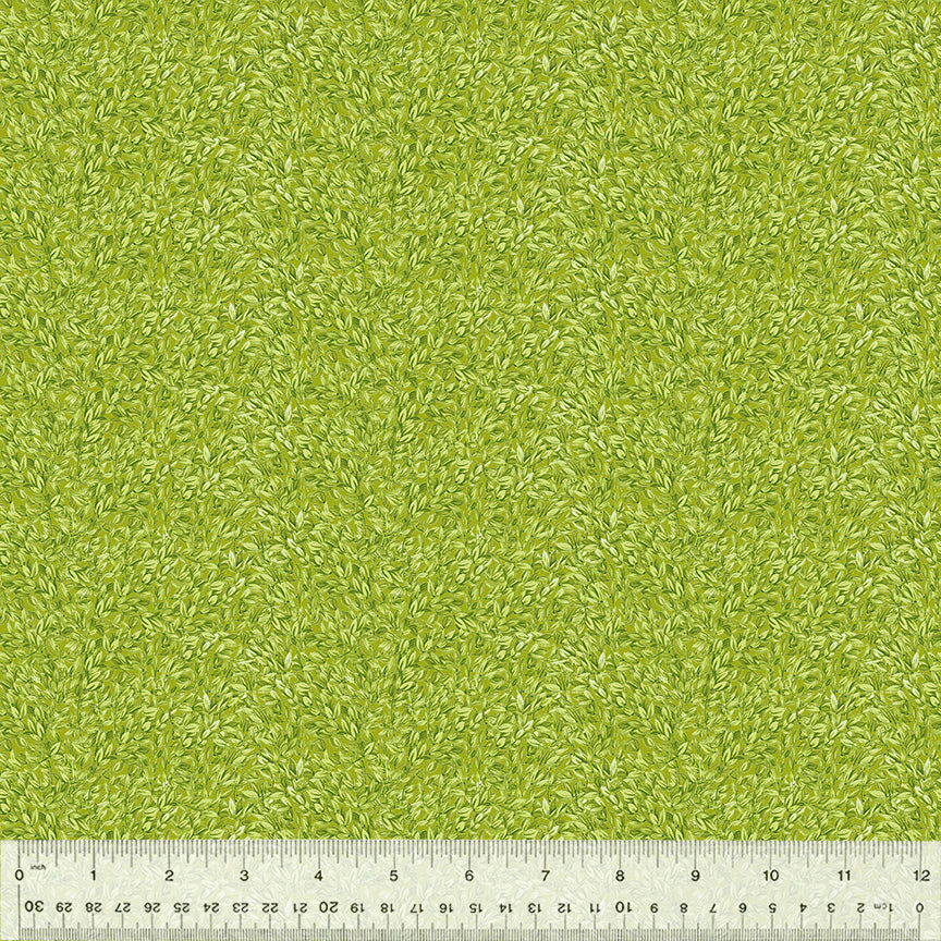 54559-11-1-015Ud000002v6dqIAA.jpg