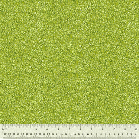 54559-11-1-015Ud000002v6dqIAA.jpg