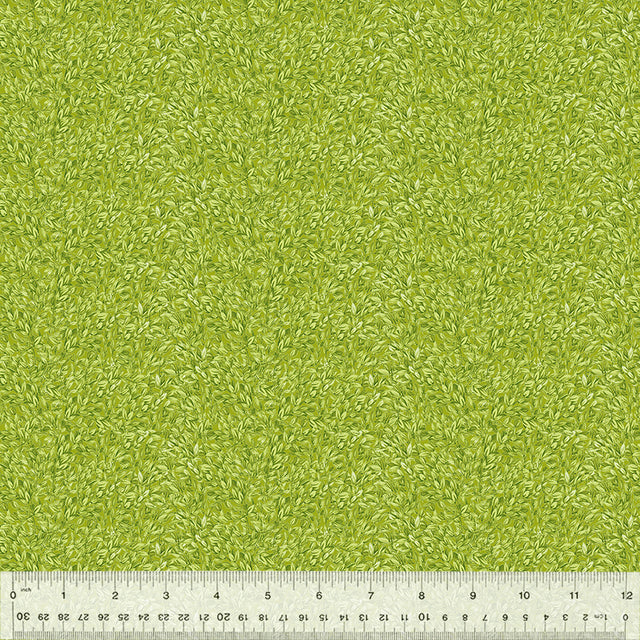 54559-11-1-015Ud000002v6dqIAA.jpg