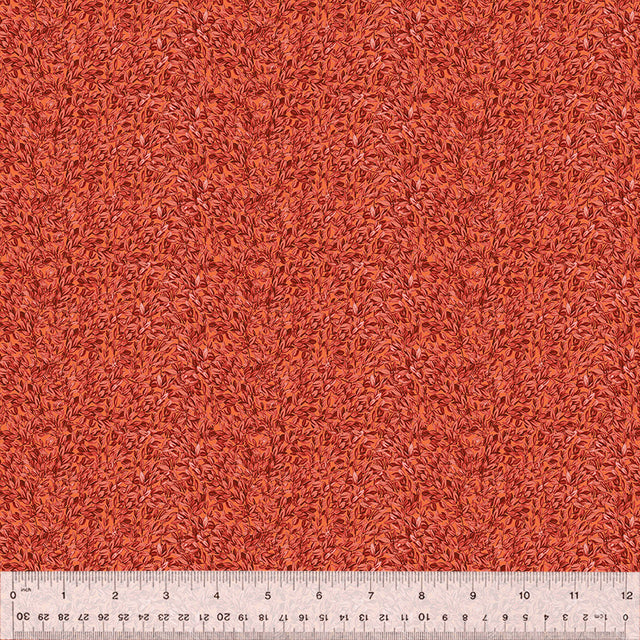 54559-9-1-015Ud000002v6XOIAY.jpg