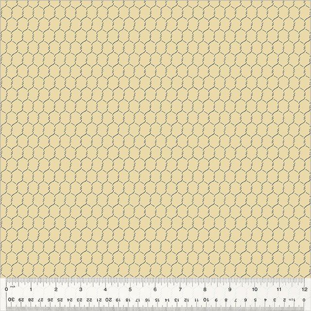 54565-11-1-015Ud000002wXosIAE.jpg