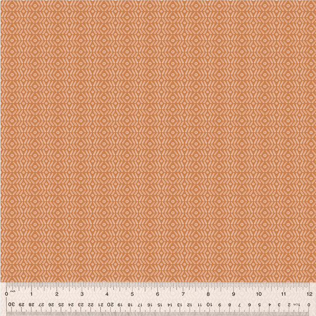 54594-3-1-015Ud000004mbNzIAI.jpg