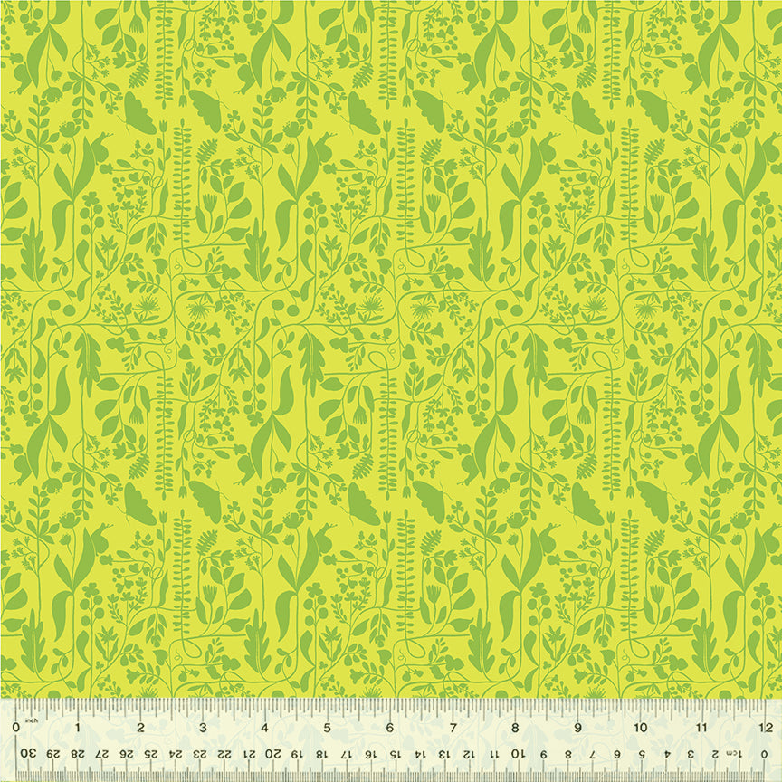54657-15-1-015Ud000004pB0mIAE.jpg