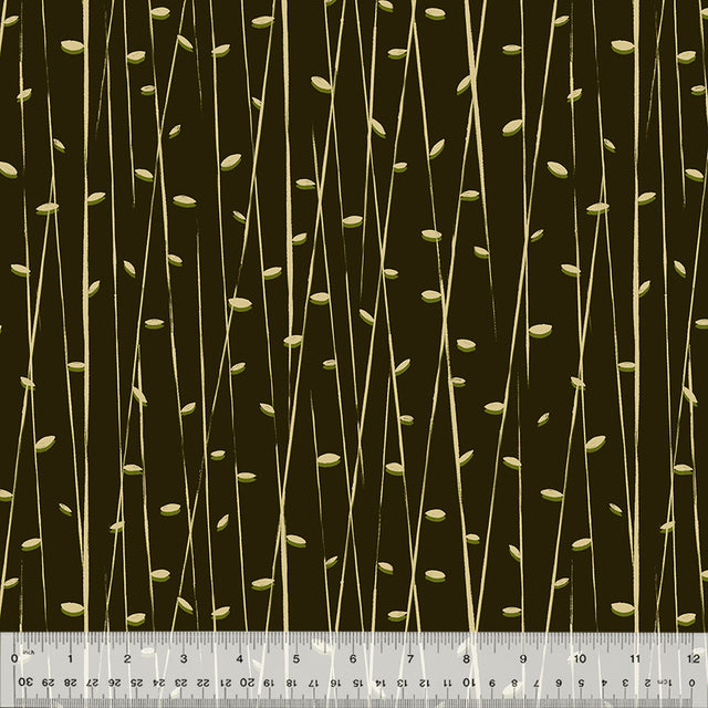 54661-1-1-015Ud000004niQcIAI.jpg
