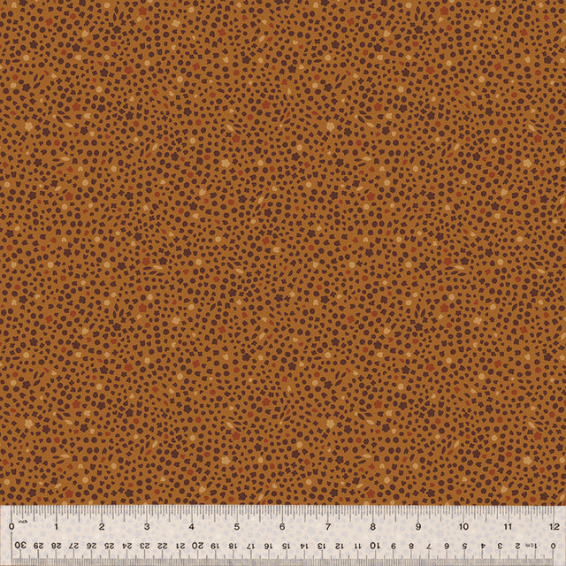 54664-12-1-015Ud000004nijyIAA.jpg