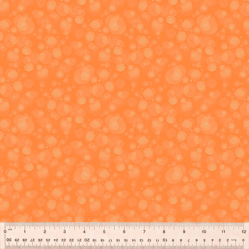 54665-4-1-015Ud000004kgl8IAA.jpg