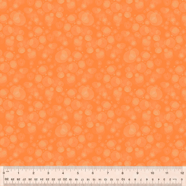 54665-4-1-015Ud000004kgl8IAA.jpg