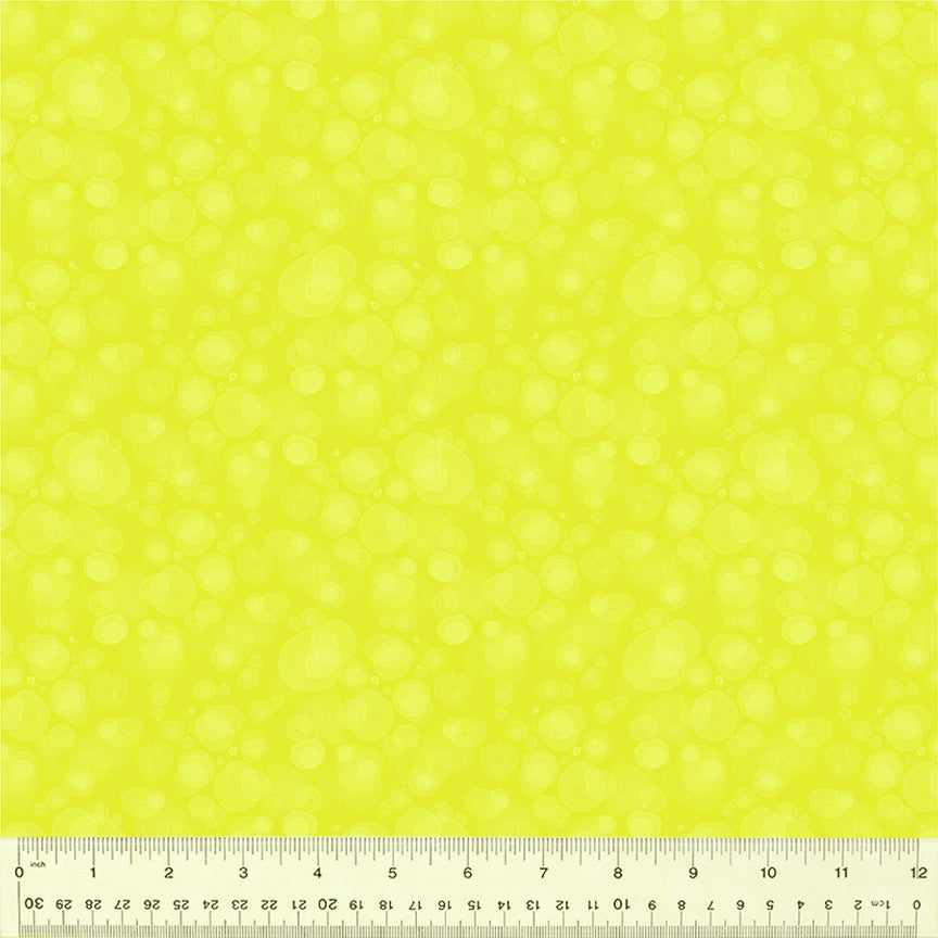 54665-8-1-015Ud000004kgzeIAA.jpg