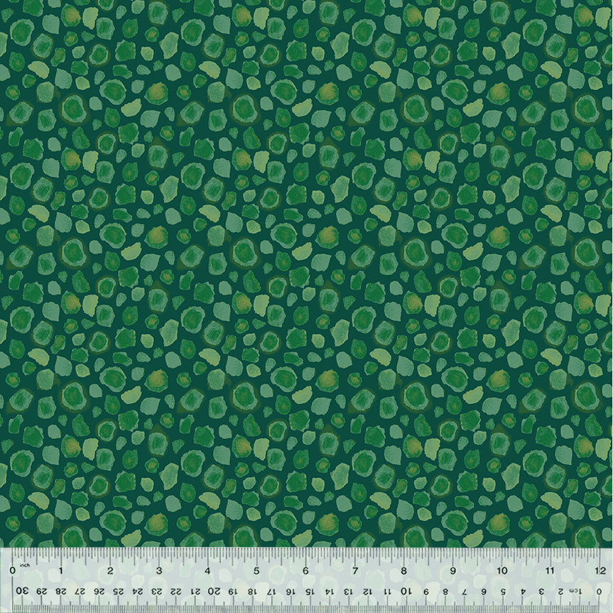 54670F-6-1-015Ud000004pFcEIAU.jpg