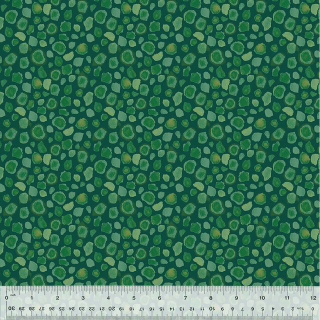 54670F-6-1-015Ud000004pFcEIAU.jpg